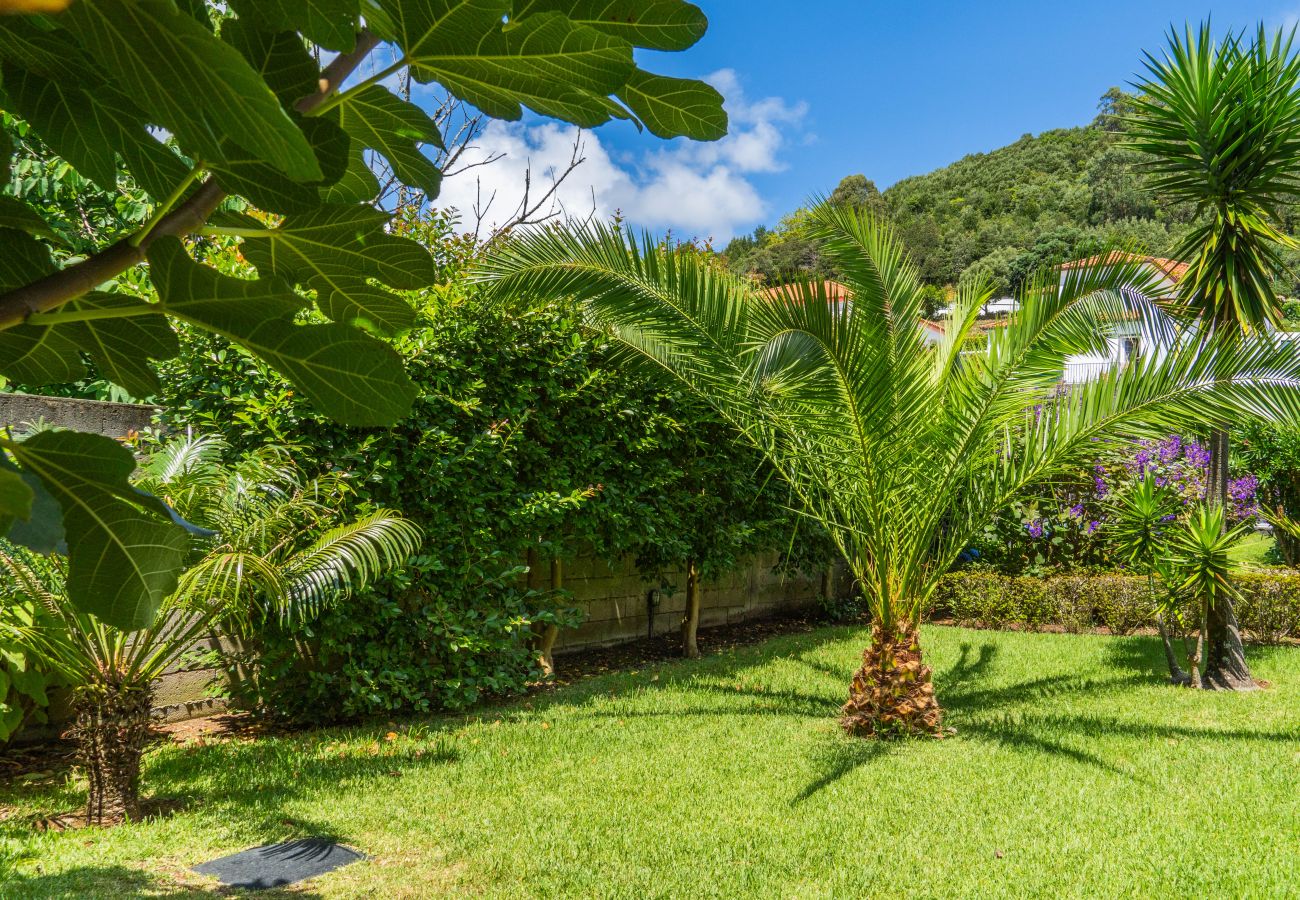 Villa em São Roque - Azorean Dream House by Green Vacations