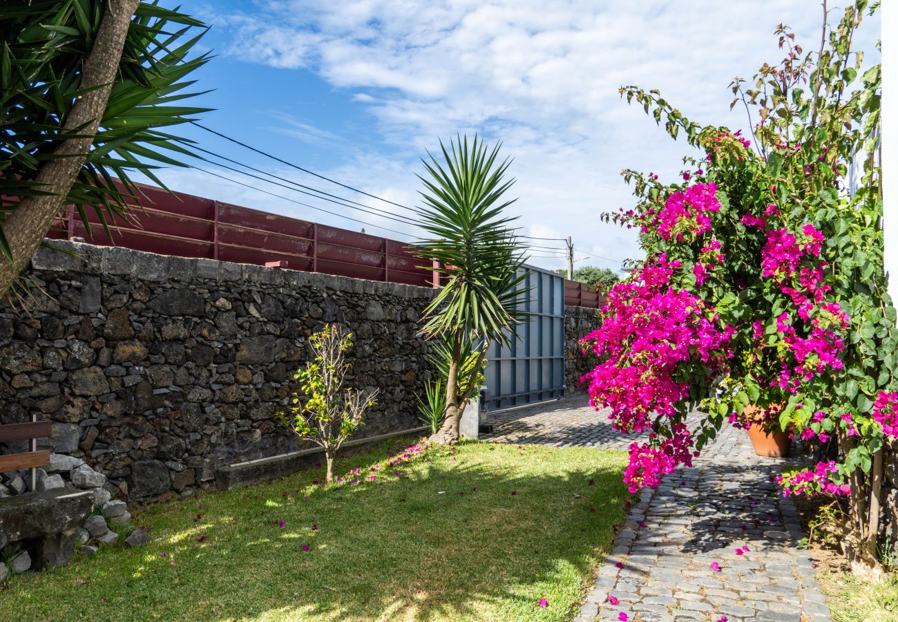 Chalet em Calhetas - Casa da Árvore - Chalé