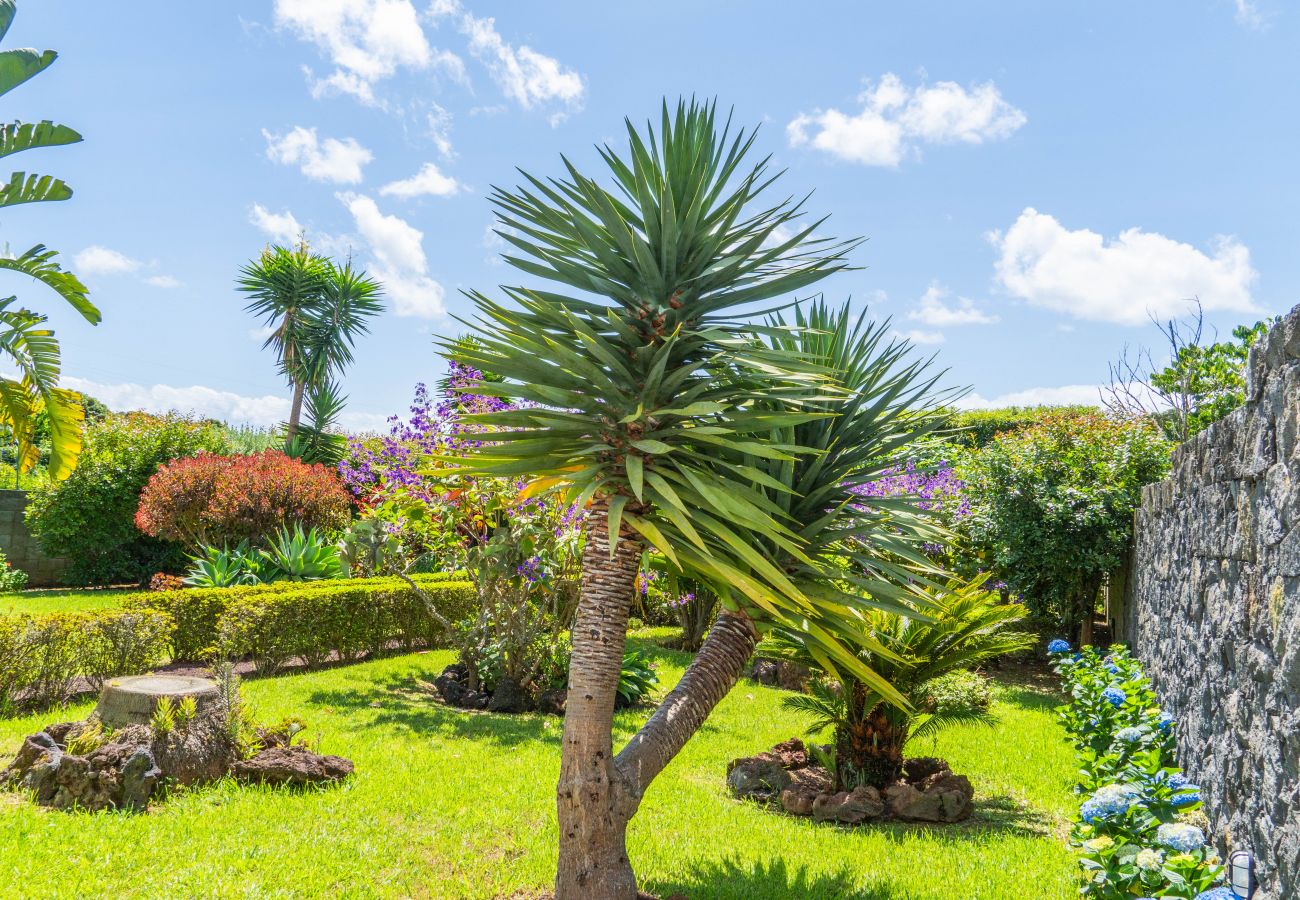 Villa in São Roque - Azorean Dream House by Green Vacations