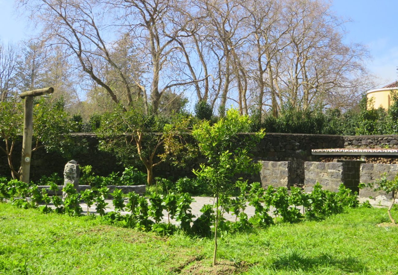 Ferienwohnung in Furnas - As Casinhas da Avó 2