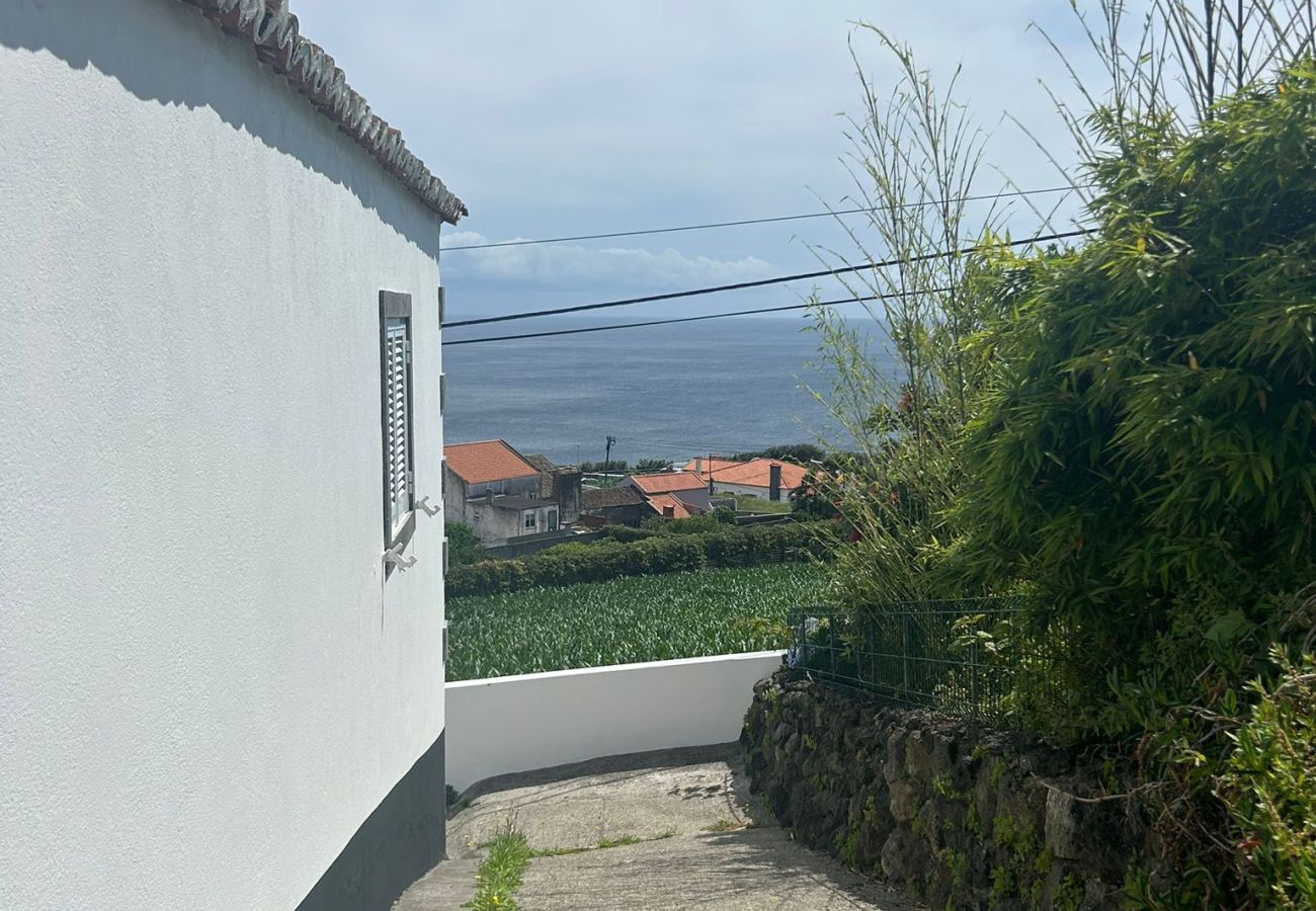 House in Feteiras - Atlantic Seaview Window