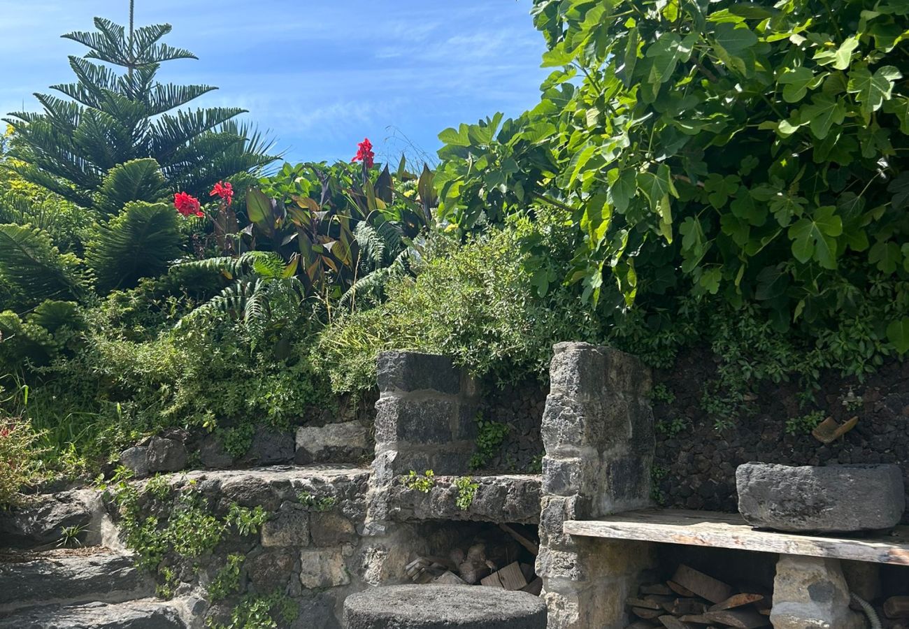 House in Feteiras - Atlantic Seaview Window