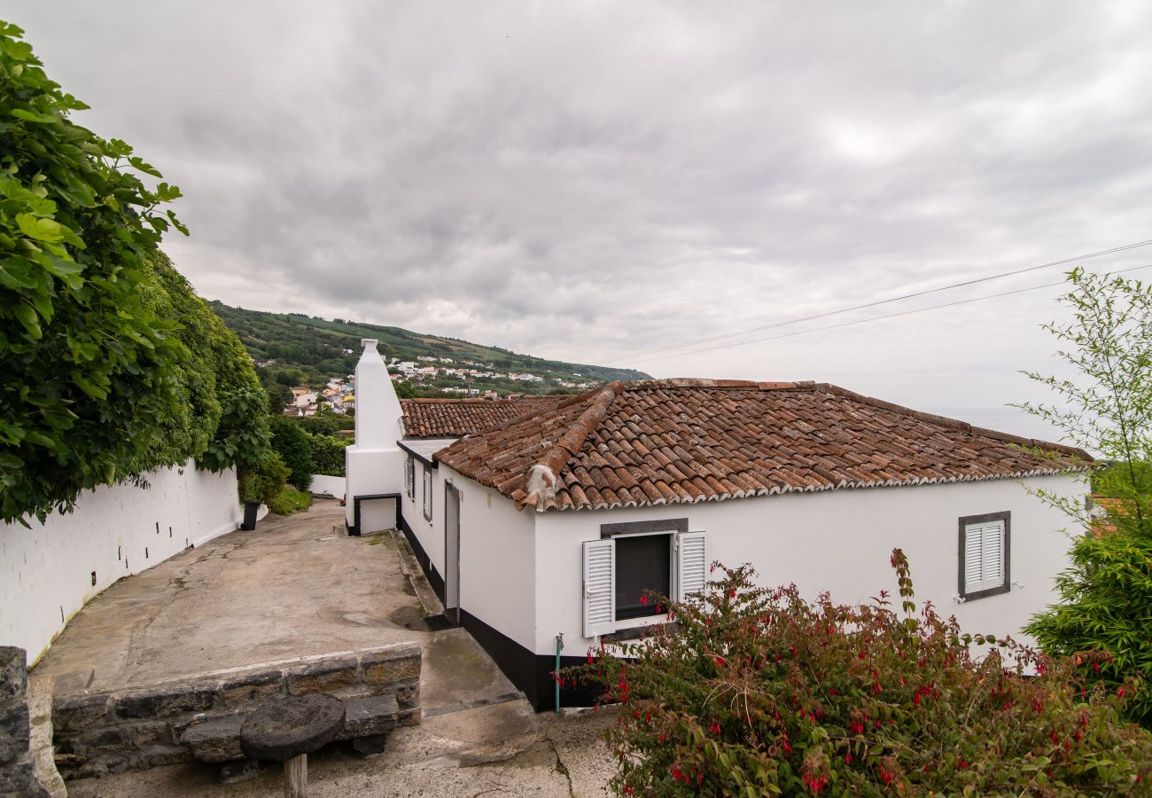 House in Feteiras - Atlantic Seaview Window