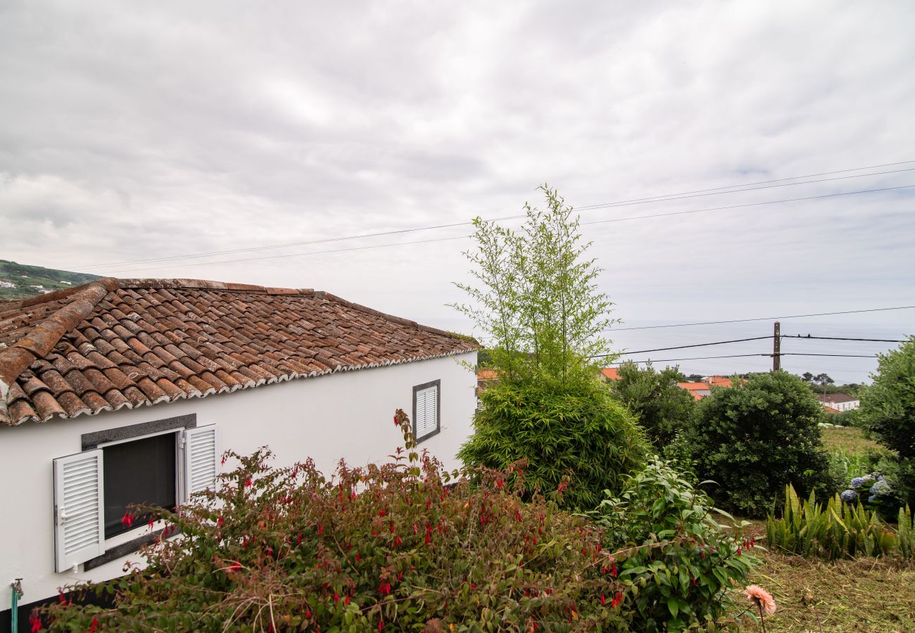 House in Feteiras - Atlantic Seaview Window