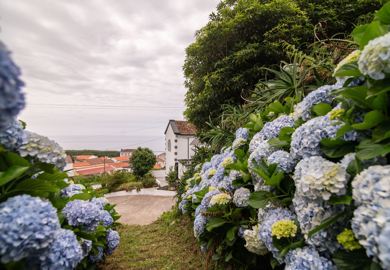 House in Feteiras - Atlantic Seaview Window
