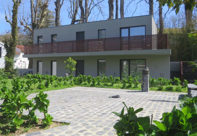 Apartment in Furnas - As Casinhas da Avó 1