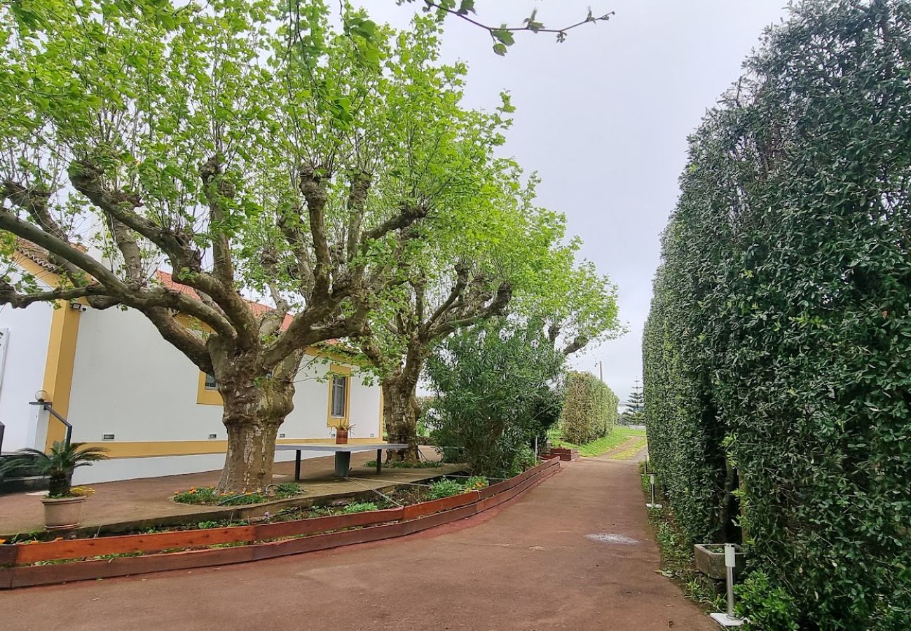 Gîte Rural à Relva - Quinta São José da Relva